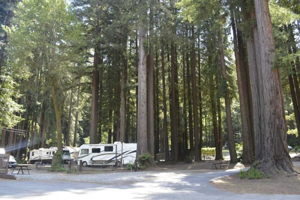 Park Image 10