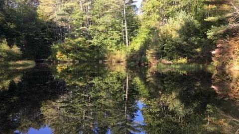 Pond side Water Tent Site — image 1 of 5