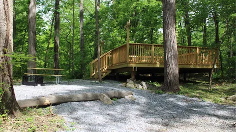 Walk-In Primitive Tent Site — image 2 of 6