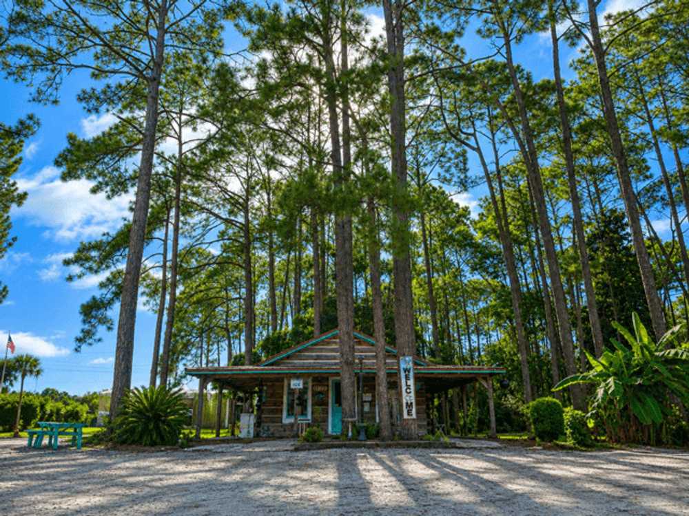 Pineglen Motorcoach & RV Park - Main Photo