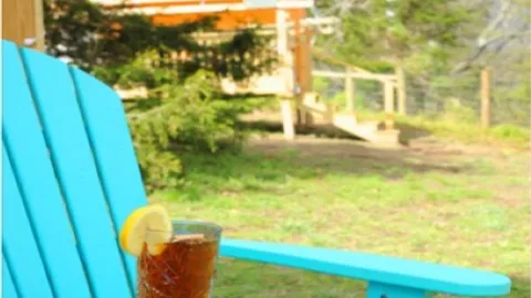 King Hot Tub Love Glamping Pod — image 5 of 5