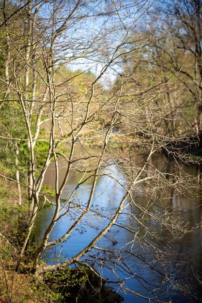 Epsom Valley Campground - Epsom, NH - Photo 5