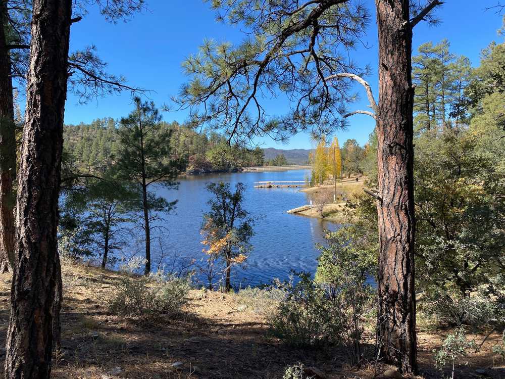 Park Image 6