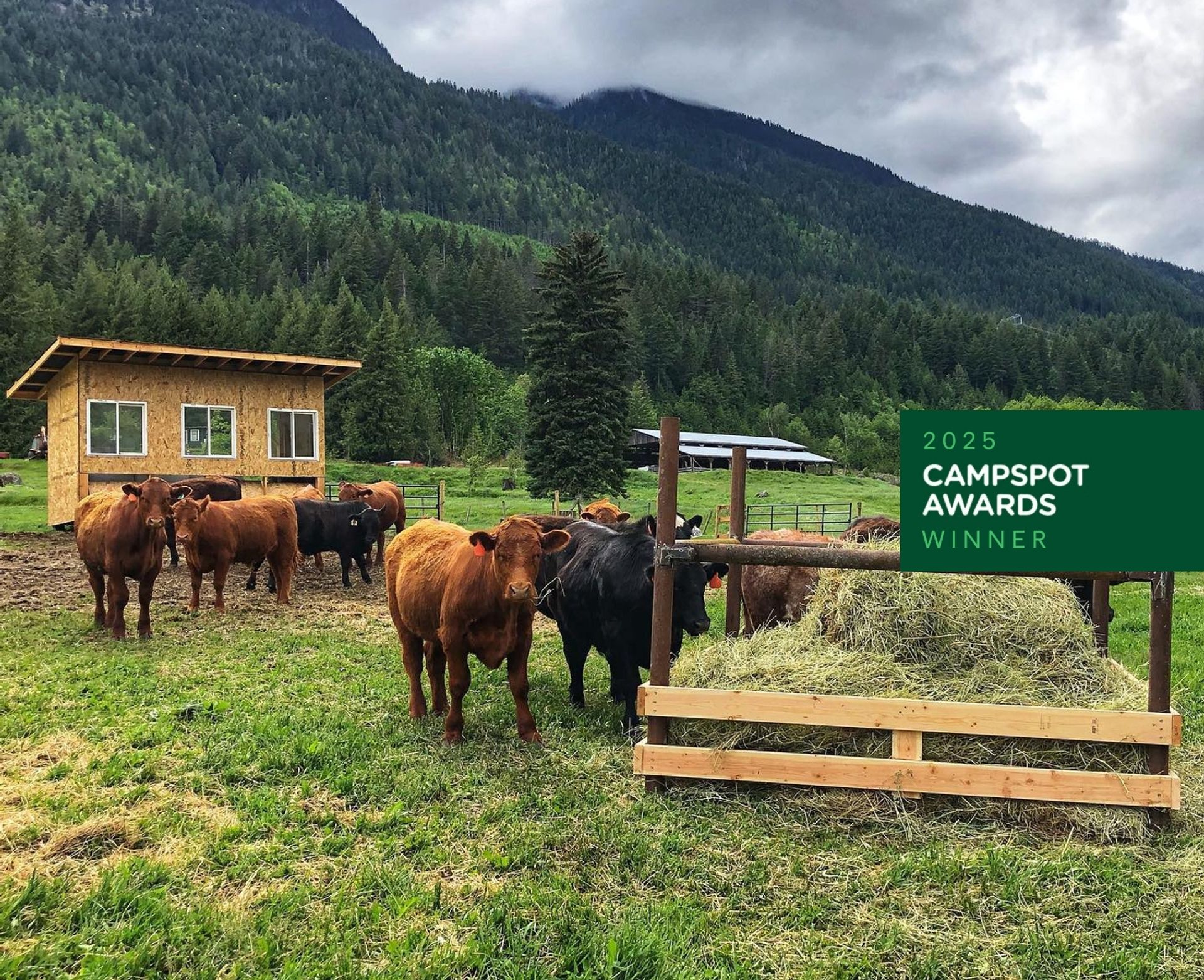 Washtock Family Campground