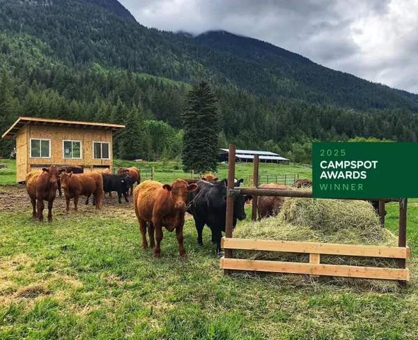 Washtock Family Campground campground