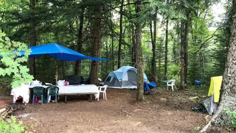 Wilderness — image 2 of 19