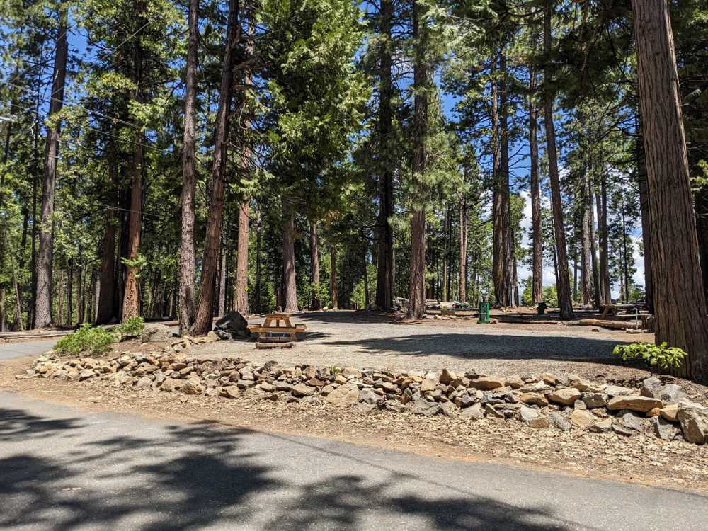 Golden Pines RV Resort, Arnold, California - Photo 5