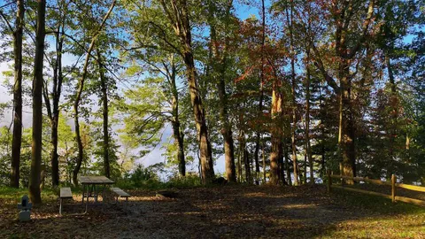 Owen’s Loop / Lake Front Tent / 20 Amp — image 7 of 7