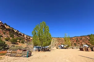 Desert Bloom Campground – photo 5