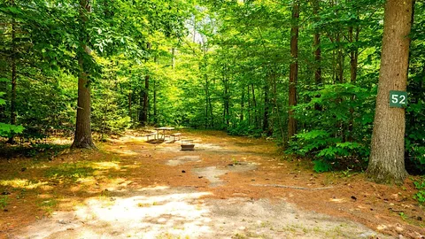 Rustic Tent or RV Site — image 1 of 11