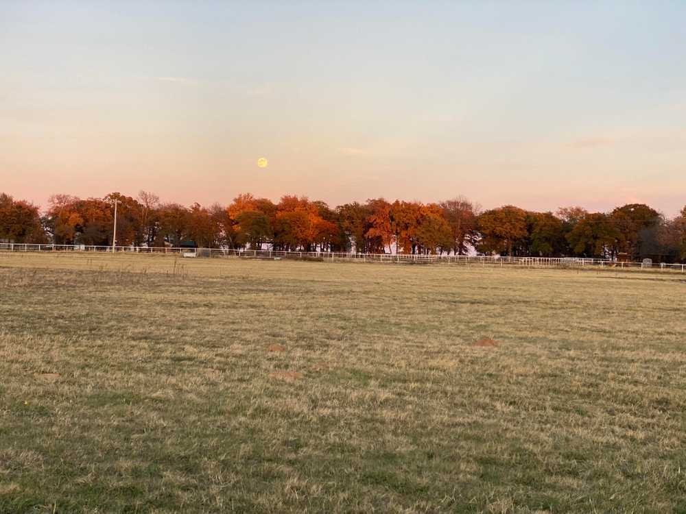 King RV Park, Thackerville, Oklahoma - Main Photo