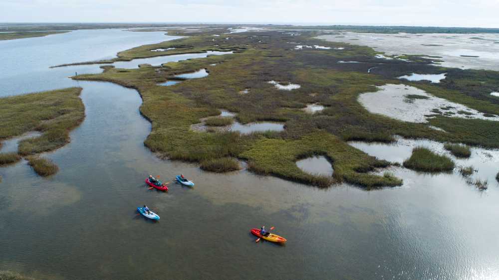 Matagorda Bay Nature Park, Matagorda, Texas - Photo 4