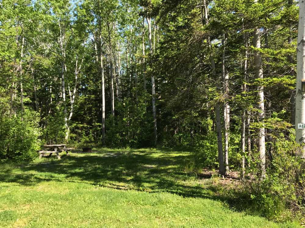 Hyclass Ocean Campground - Photo 5