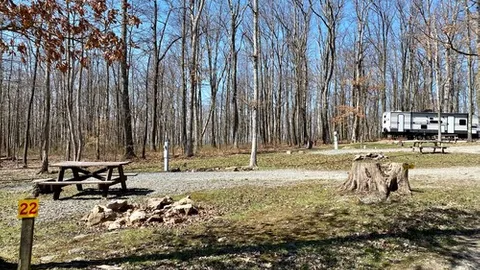 Deluxe Back-In RV Site — image 3 of 3