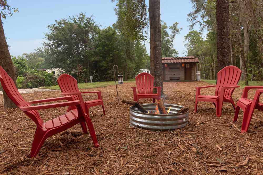 Moonshine Acres RV Park - Photo 3