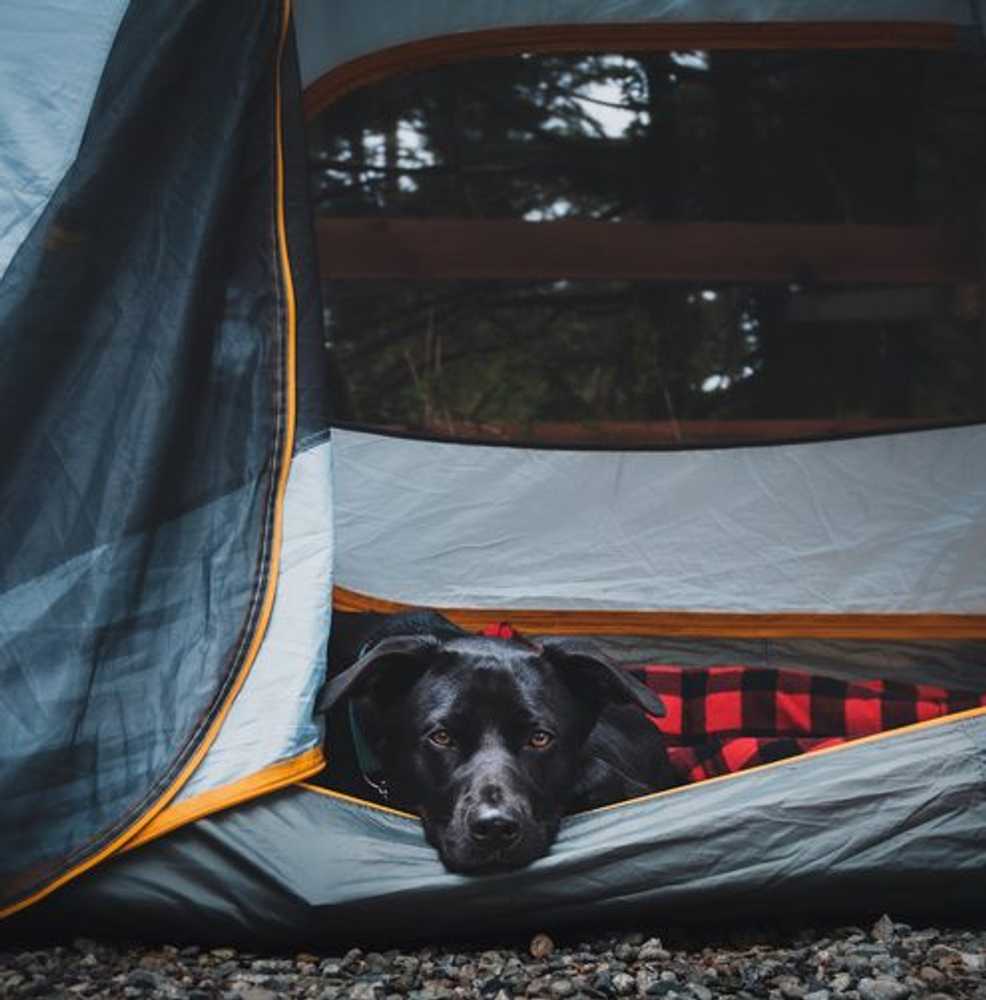 Surf Grove Campground - Photo 5