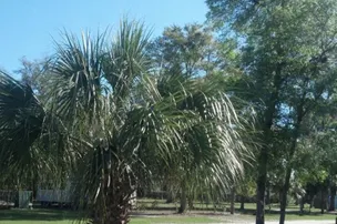 Shady Banks RV Resort – photo 5