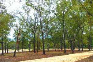 D&R RV Park & Equine Training Center – photo 5