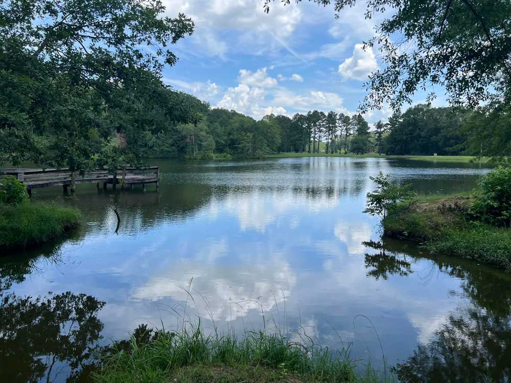 Askew’s Landing RV Campground, Edwards, Mississippi - Photo 3