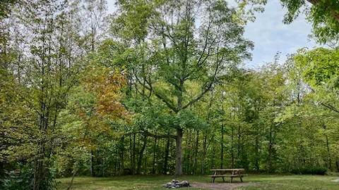 Tent Site — image 2 of 2