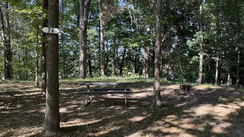 Wooded Tent Site — image 1 of 2
