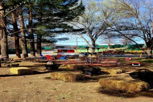 Verde River RV Resort & Cottages – photo 4