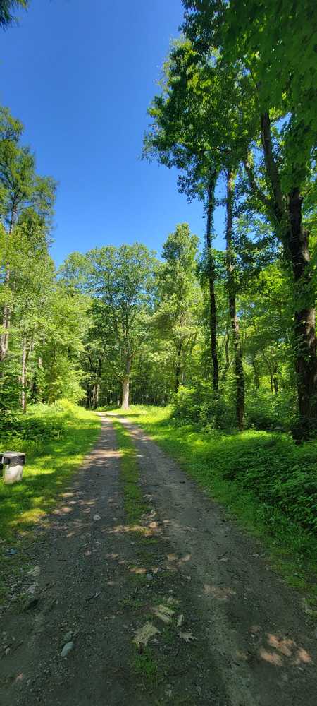 Windmill Hill, Litchfield, Connecticut - Photo 4