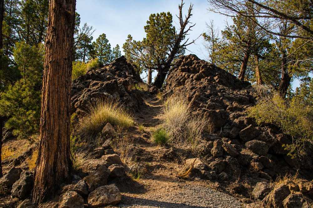 Park Image 6
