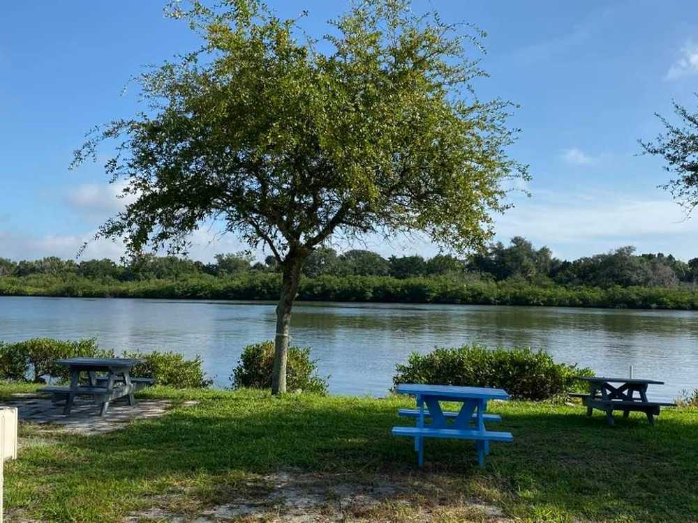Direct River Front RV Site