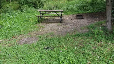 SBL Site 503 - Unserviced (TT) — image 1 of 1