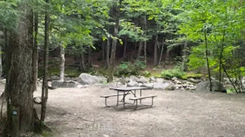 Tent- Electricity, Brook Front — image 5 of 5