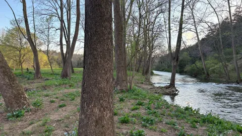 30/50Amp W/E Back-In Site Water Front — image 1 of 5