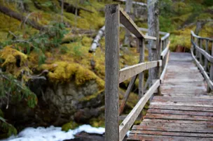 Gold Panner Campground – photo 5