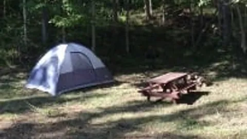 Primitive Tent Site — image 1 of 2