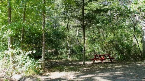 Primitive Site — image 2 of 5