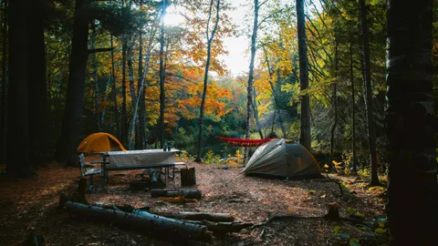 TENT (or small RV) Sites — image 1 of 7