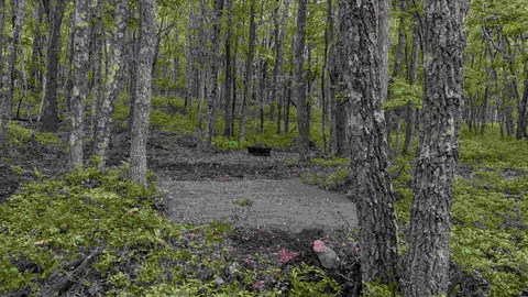 Tent Site (Standard) — image 1 of 4