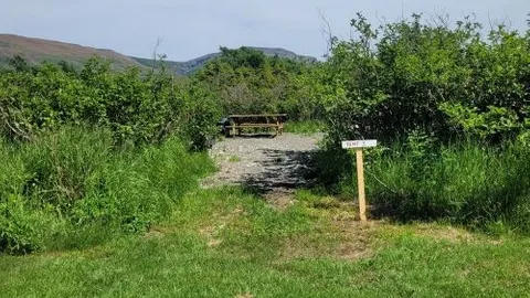 Primitive Tent Site — image 6 of 6