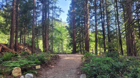 Explorer’s Nook Tent Site — image 2 of 12