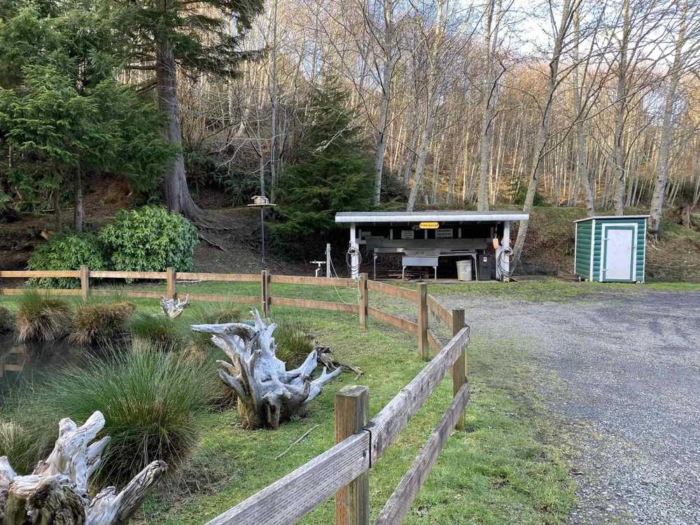 Fisherman's Cove RV Park, Ilwaco, Washington - Photo 4