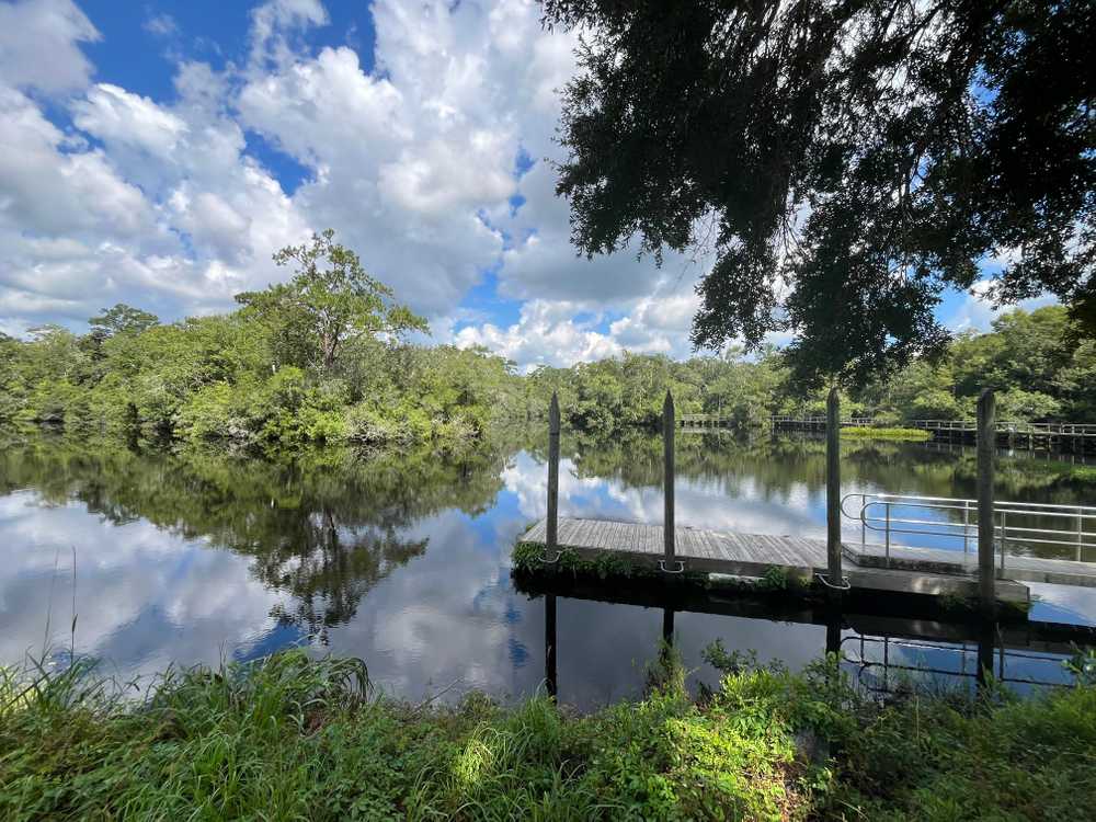 Myron B. Hodge City Park -  Sopchoppy, FL - Photo 4