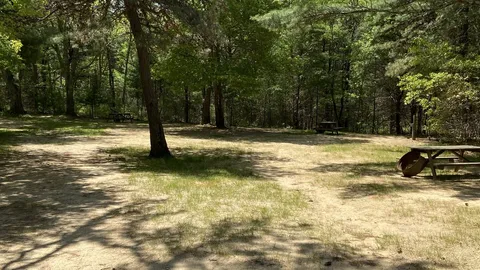 Standard RV Site - 30 Amp — image 2 of 11
