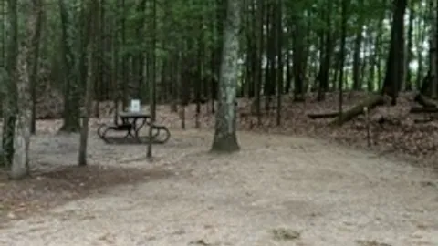 Rustic Tent Site (No Electric) — image 1 of 1