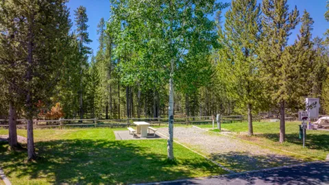 GALLATIN NATIONAL FOREST BACK IN — image 4 of 4