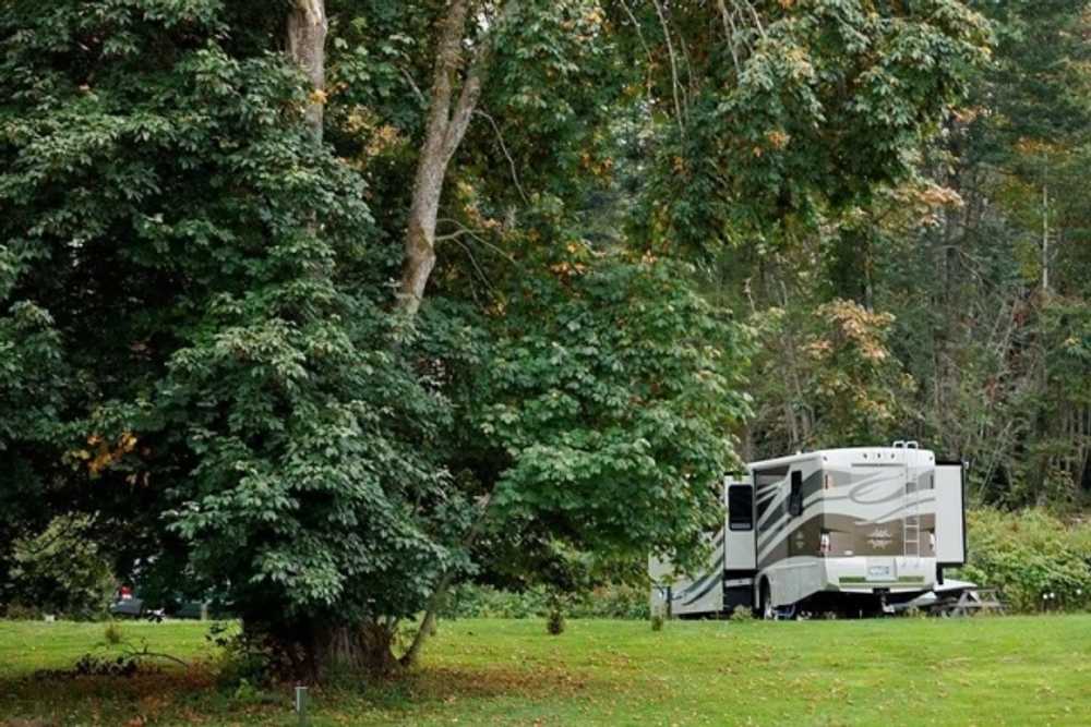 Puntledge RV Campground, Courtenay, British Columbia - Photo 5