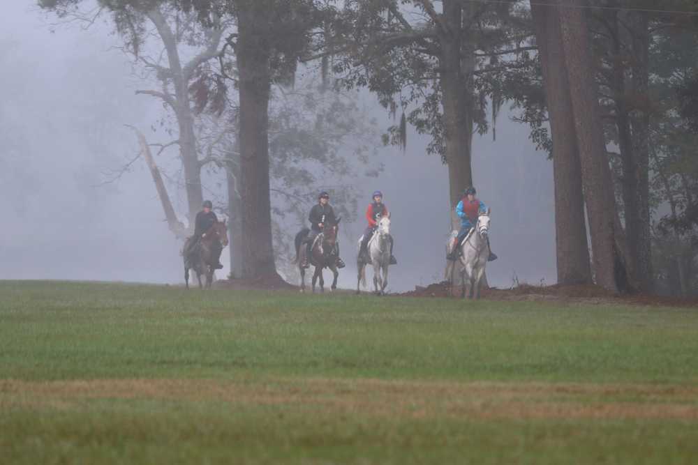 Park Image 6