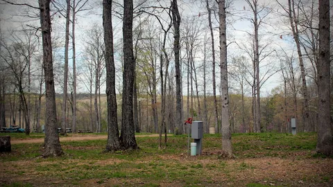 Full Hook-Up RV Site — image 1 of 1
