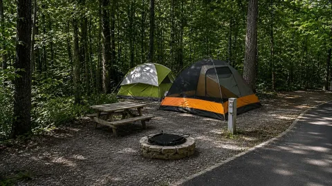 Area A Tent:ing: Deluxe Large Site — image 1 of 2