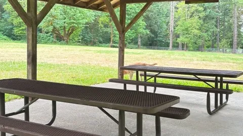 Section E - Group Camping - Open Grassy Area — image 2 of 2