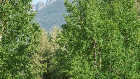 Deluxe Full Hookup RV Sites — image 1 of 14